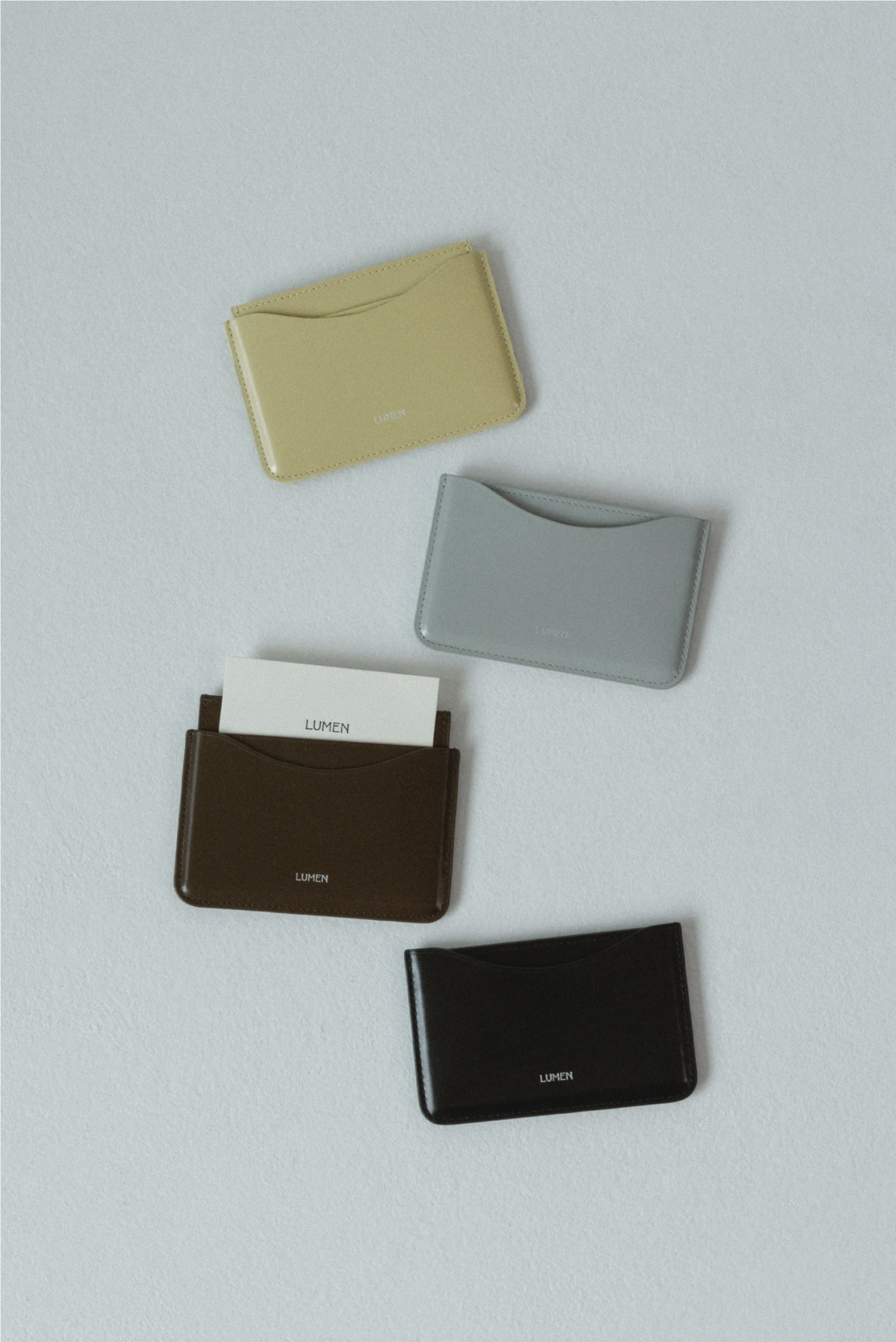 Holder Card Case (Matt Brown)