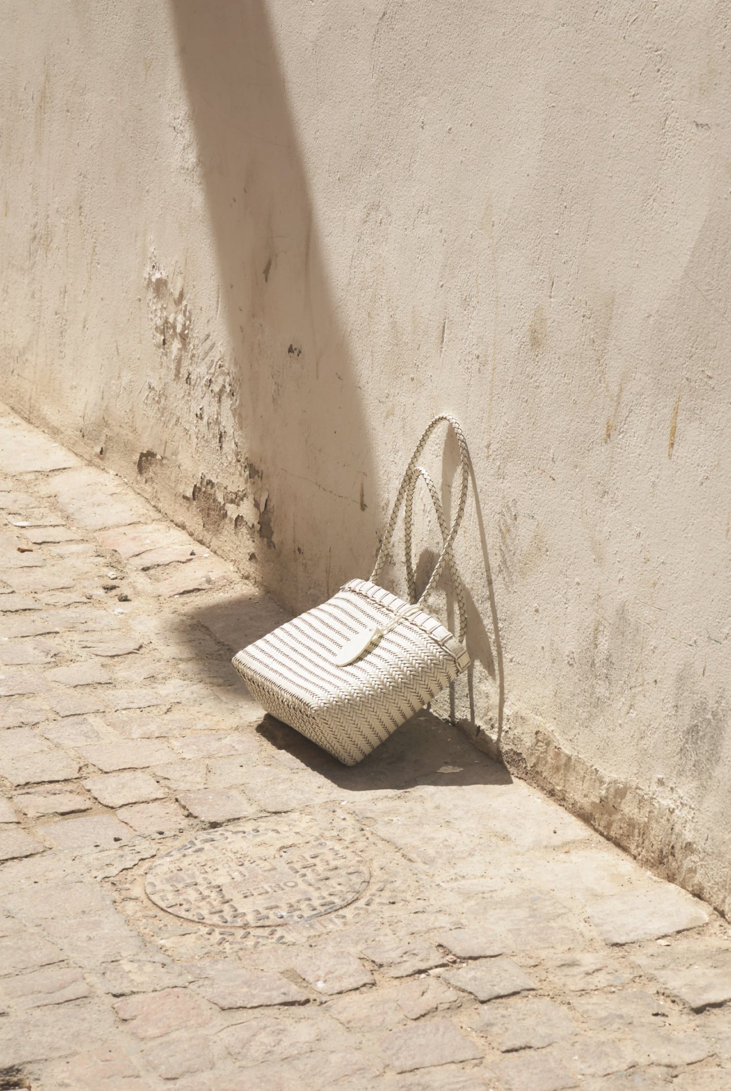 PREORDER Twig Bag (Dried Ivory)