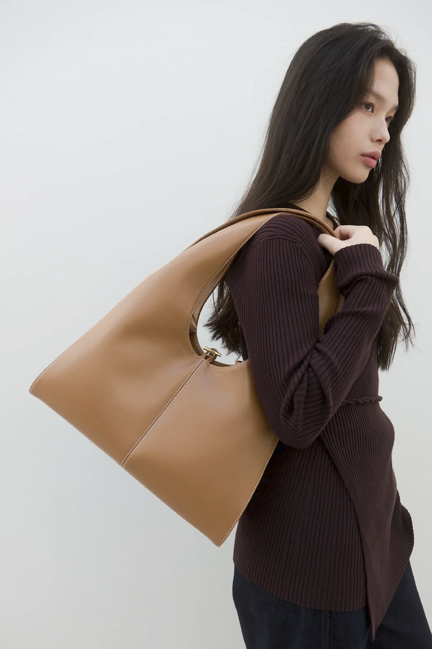 Panier Grand Bag (Tan Brown)